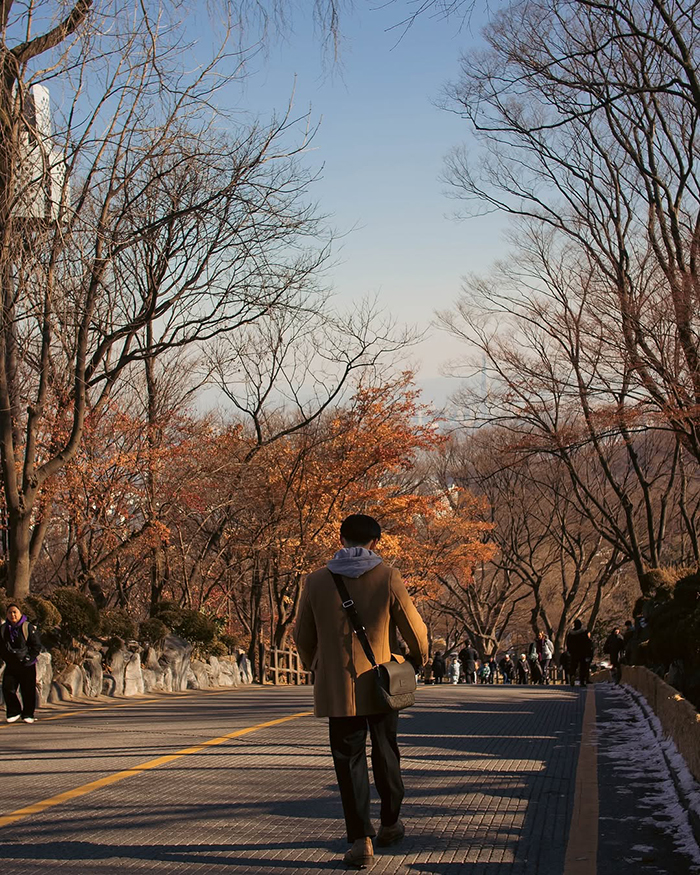 Công viên Namsan gần tháp Namsan Hàn Quốc