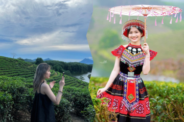 Đồi chè Thanh Chương Nghệ An thiên đường chill tuyệt đẹp 