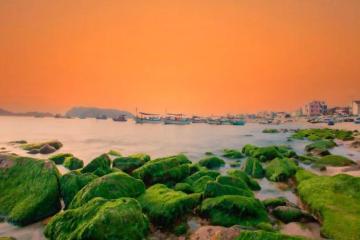 [Cập nhật] Cẩm nang có một làng chài Hải Minh thơ mộng dưới chân núi Tam Tòa Quy Nhơn Gia LaI