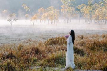 Khu du lịch dã ngoại Suối Tía Đà Lạt: Điểm đến ma mị như trong phim không phải ai cũng biết