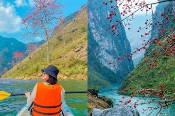 [Cập nhật] Đón chờ một mùa hoa gạo ở Hà Giang Tuyên Quang