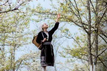 Ghé thăm mùa hoa lê Na Hang Tuyên Quang đẹp mơ màng trong sắc xuân