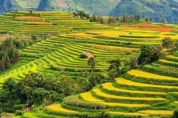 [Cập nhật] Cẩm nang du lịch Lào Cai: Khám phá vẻ đẹp miền sơn cước