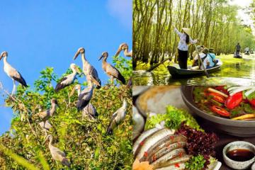 [Cập nhật] Cẩm nang du lịch đến rừng tràm chim Vị Thủy Hậu Giang khám phá ‘vùng đất ngập nước ngọt’ độc lạ của miền Tây