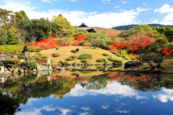 Cẩm nang du lịch Nara - Cái nôi của nền văn hóa Nhật Bản