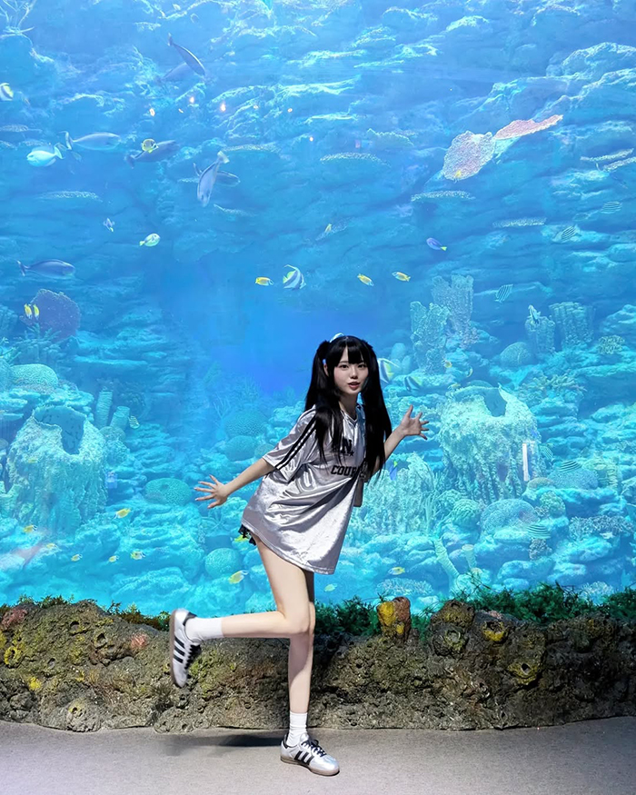 Khu vực chim cánh cụt tại thùy cung sealife busan hàn quốc