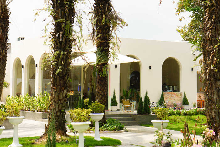 Quán cà phê Tamara nằm trong vườn chà là Sa Đéc