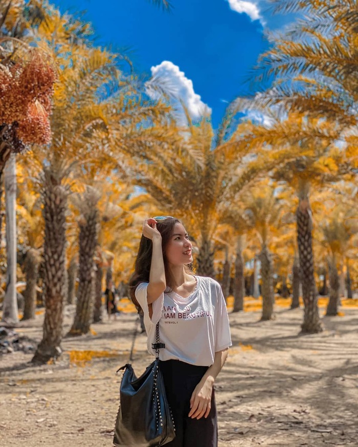 Săn ảnh sống ảo xinh lung linh tại vườn chà là Sa Đéc