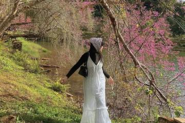 Lịch trình du lịch Măng Đen dịp Tết đi đâu, ăn gì?