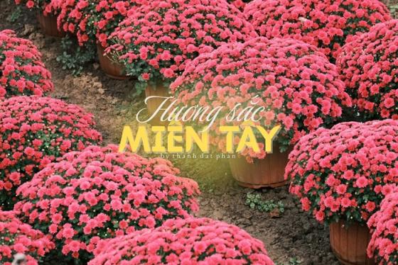 “Hương sắc miền Tây” trong những khung hình của Phan Thành Đạt