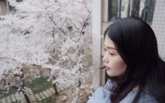 lớp học hoa anh đào ở Trung Quốc