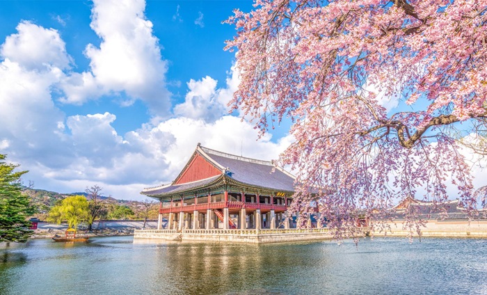 Cung điện Gyeongbokgung, một trong những địa điểm du lịch đẹp nhất thế giới ở Hàn Quốc là địa điểm check in quen thuộc của du khách. 