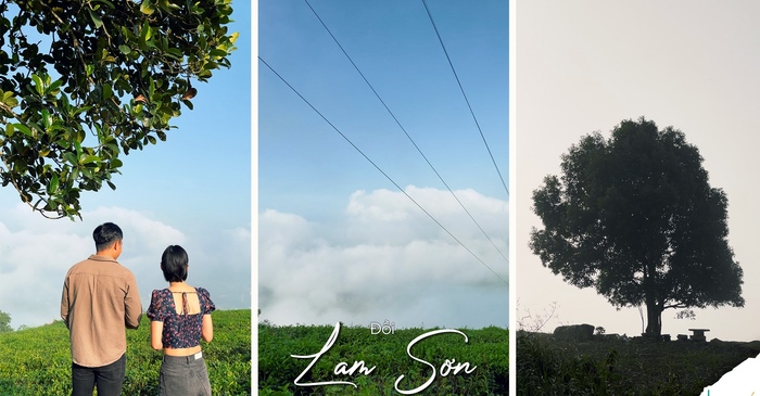 đồi Lam Sơn là địa điểm săn mây ở Bảo Lộc thơ mộng rất đáng để ghé thăm khám phá