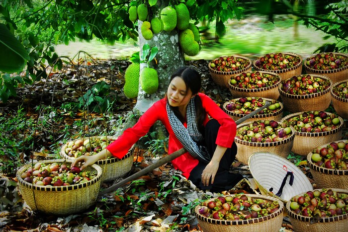 vườn trái cây gần Sài Gòn là điểm dừng du lịch mùa hè nổi tiếng