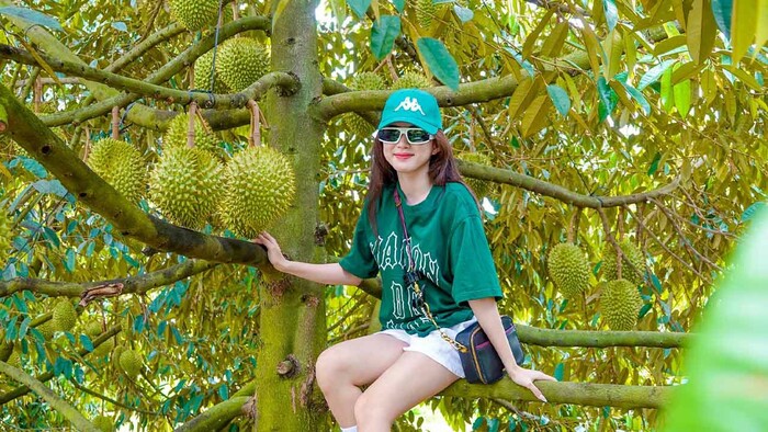 ghé thăm vườn trái cây gần Sài Gòn là trải nghiệm du lịch mùa hè được nhiều người yêu thích