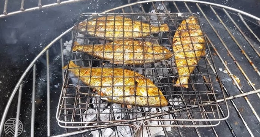 Cẩm nang du lịch Tottori gợi ý: Cá mòi – Món quà từ biển Nhật Bản