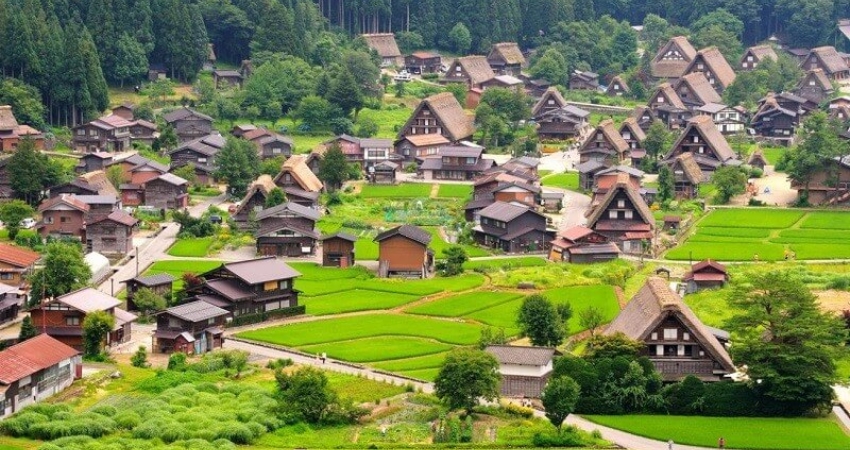 Vẻ đẹp mộc mạc và đậm chất làng quê của Gifu, Nhật Bản