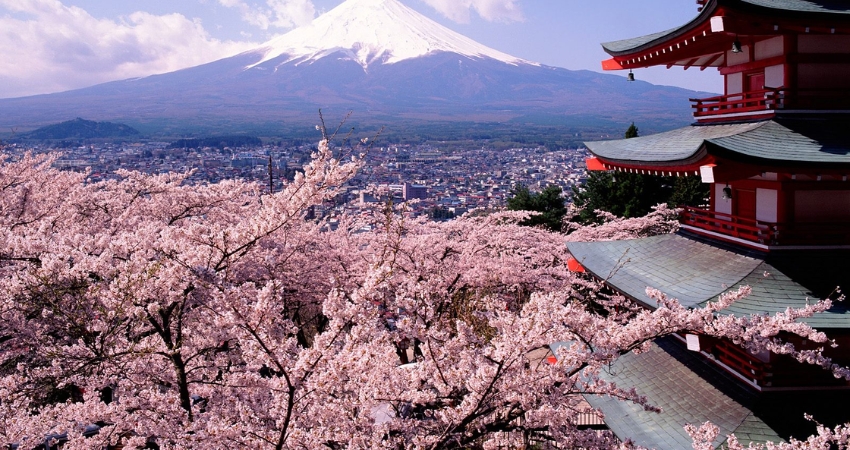 Mùa hoa anh đào nở tại Tottori