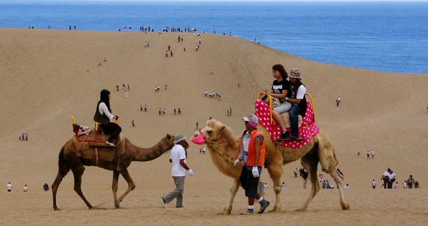 Khám phá nhiều địa điểm du lịch nổi tiếng trong cẩm nang du lịch Tottori