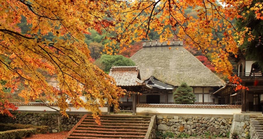 Shimane có khí hậu ôn hòa và vẻ đẹp đa dạng