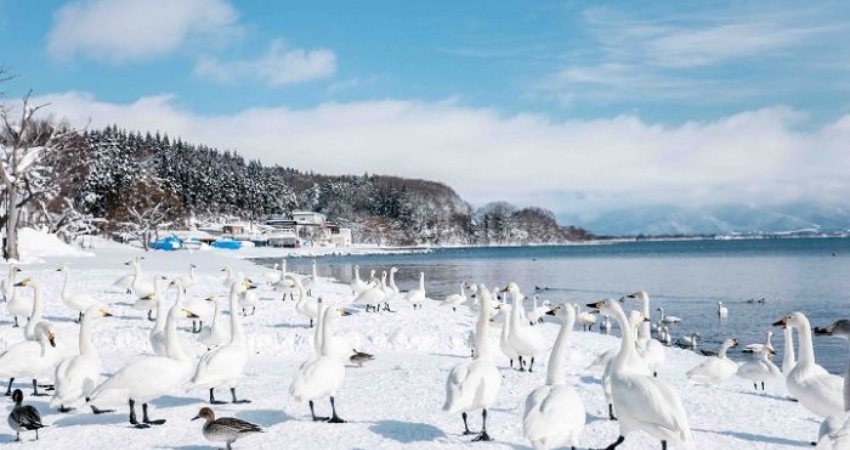 Hồ Inawashiro trong vắt như gương