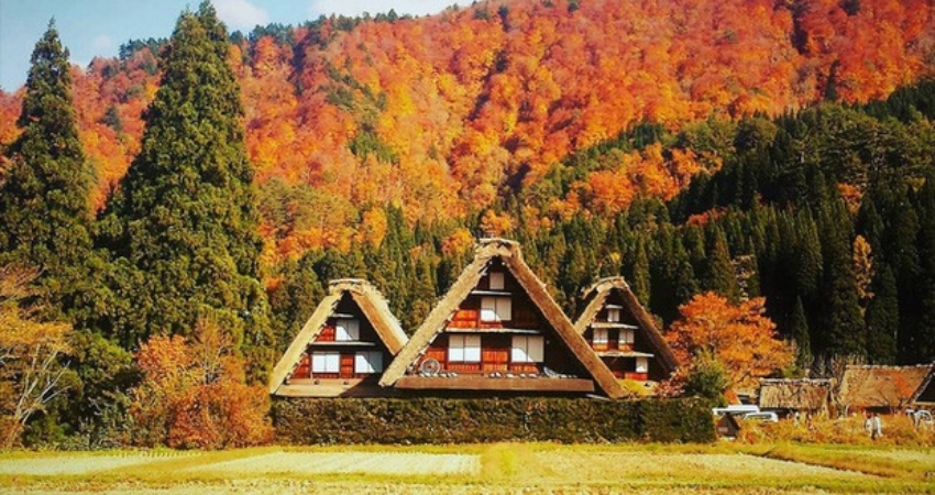 Cẩm nang du lịch Gifu gơi j ý nên ghé thăm vào mùa thu - thời điểm đẹp nhất trong năm