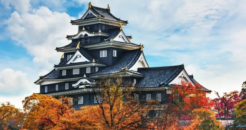 Cẩm nang du lịch Shimane dẫn lối bạn tới thưởng ngoạn lá vàng rơi tại Shimane.