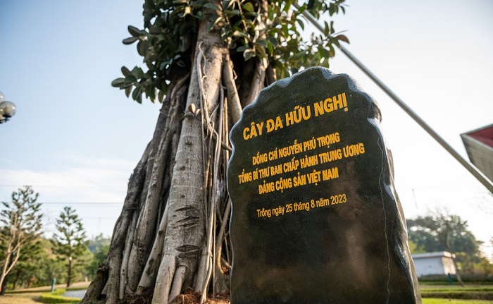 Thăm quan cây đa trong khuôn viên Cửa khẩu Quốc tế Hữu Nghị Lạng Sơn