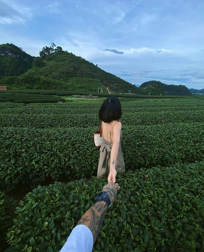 Đồi chè Trái tim Mộc Châu được chăm sóc cẩn thận nên lúc nào cũng xanh tốt