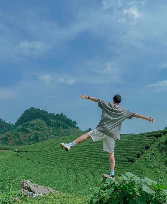 Những luống chè cứ nối tiếp nhau trải dài như bất tận ở đồi chè Trái tim Mộc Châu