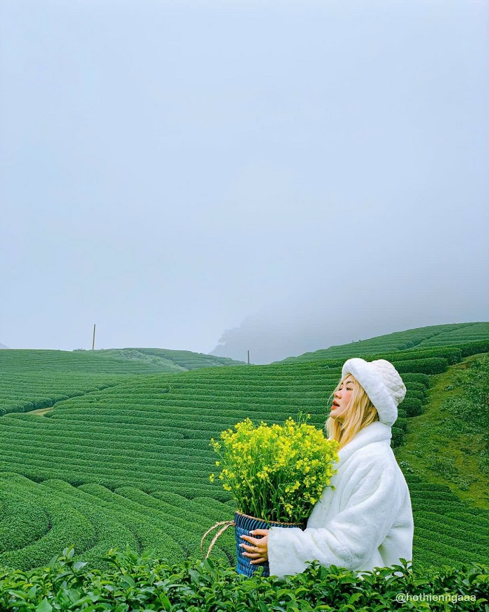 Bạn có thể ghé thăm đồi chè Trái tim Mộc Châu vào bất kể thời điểm nào