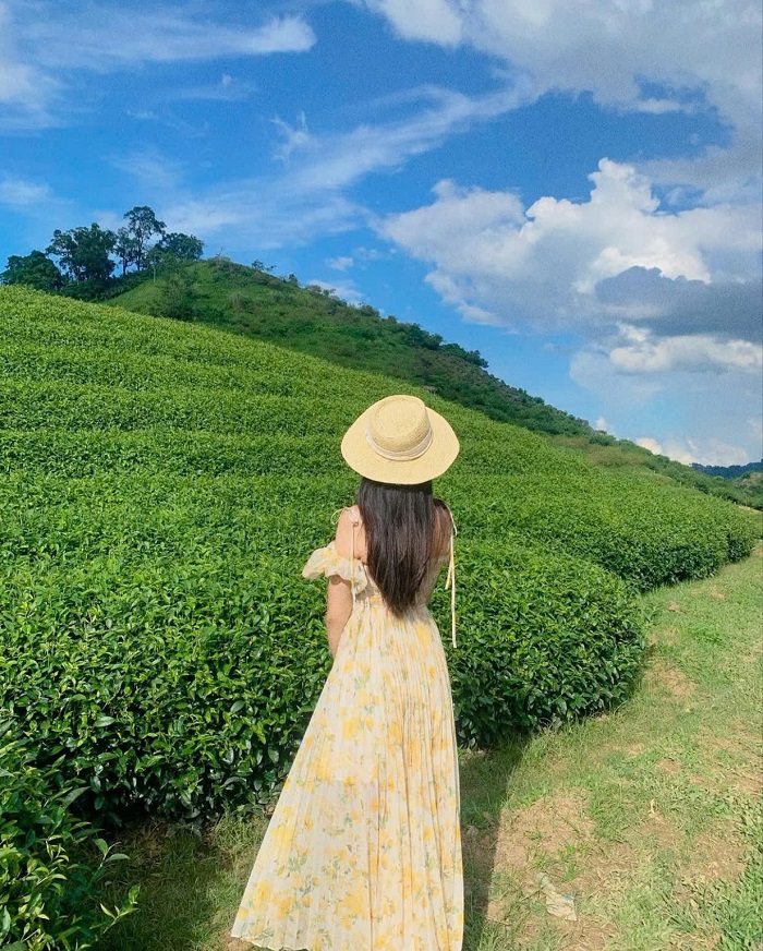 Ở đồi chè Trái tim Mộc Châu, góc nào lên ảnh cũng cực đẹp