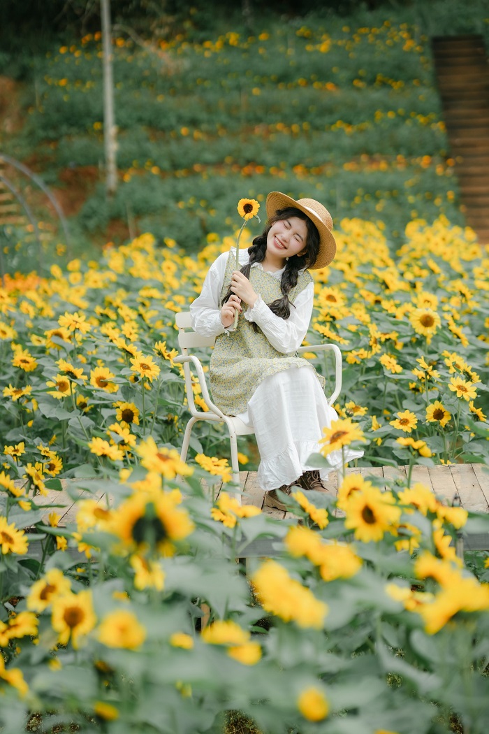 Kinh nghiêm du lịch Đà Lạt 30/4-1/5 rằng hoa hướng dương cũng nở rực trời Đà Lạt dịp lễ