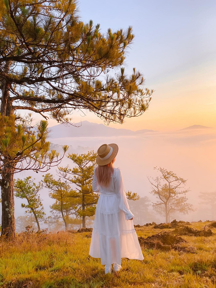 Kinh nghiêm du lịch Đà Lạt 30/4-1/5 rằng săn mây đẹp như tiên cảnh tại đồi Đa Phú