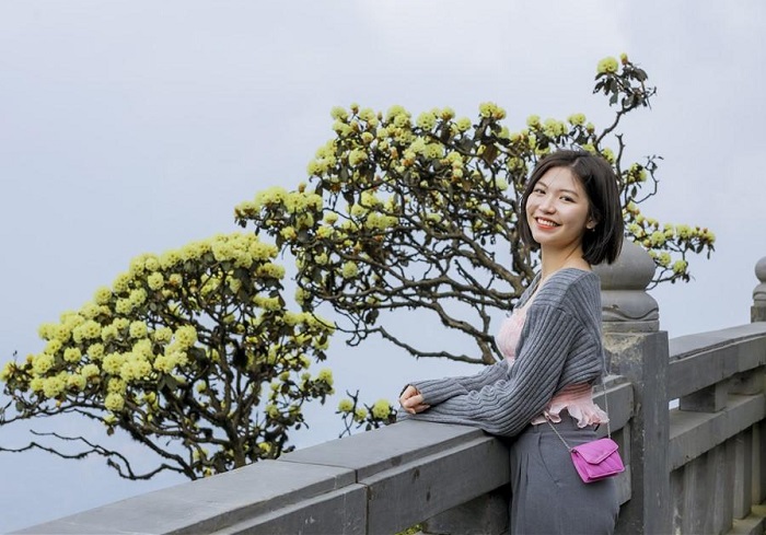 Hành trình chinh phục mùa hoa đỗ quyên Fansipan cho bạn tha hồ sống ảo