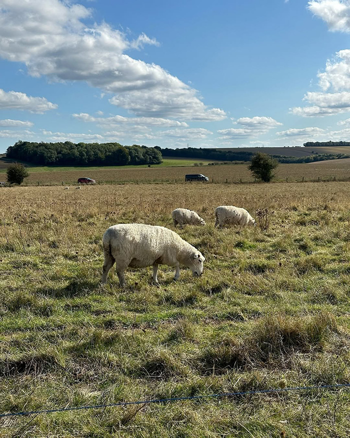 Di chuyển bằng xe buýt đến bãi đá cổ Stonehenge Anh