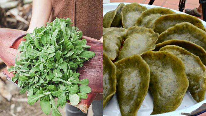 Bánh khúc trần không xôi có vỏ xanh làm từ lá khúc.