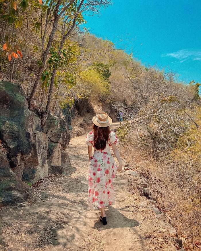 Các hẻm sống ảo nổi tiếng ở Vũng Tàu - Hẻm 444 Trần Phú