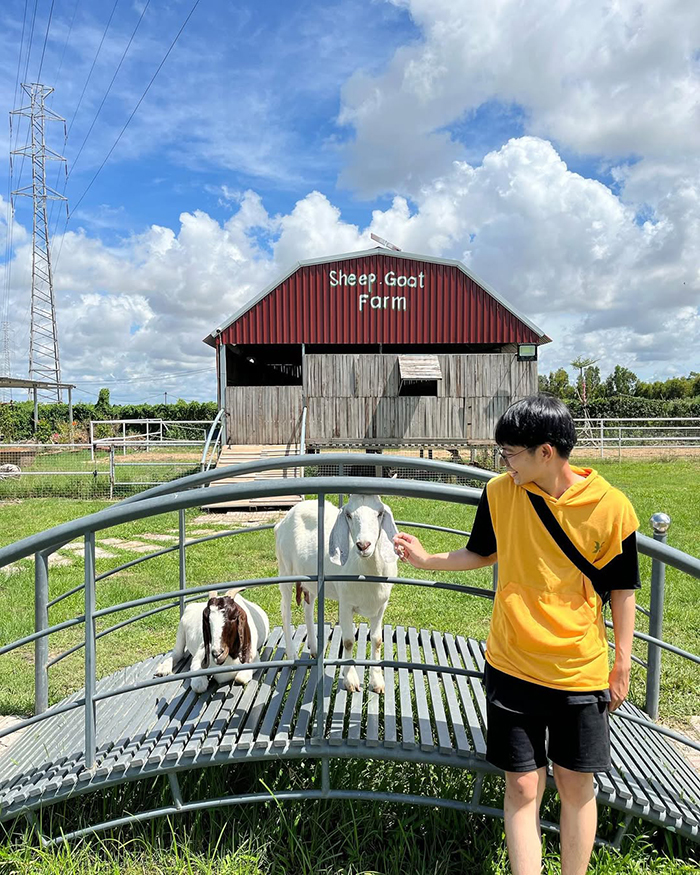Cẩm nang du lịch Bạc Liêu mua gì về làm quà?