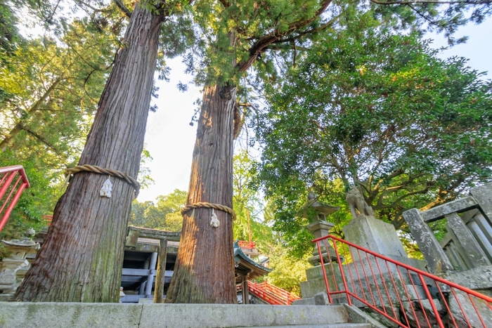Cẩm nang du lịch Beppu - Cầu nguyện ở đền Hachiman Asami