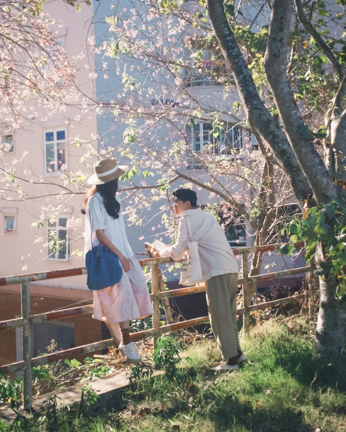 Đà Lạt mộng mơ và thời tiết chiều lòng người