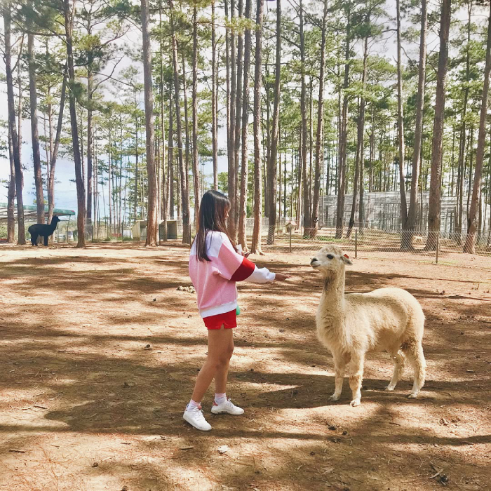 Thật khó để cưỡng lại sự đáng yêu của những con vật tại Zoodoo