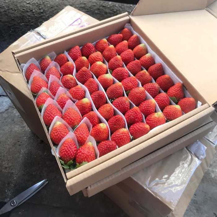 Dâu tây làm quà rất phổ biến