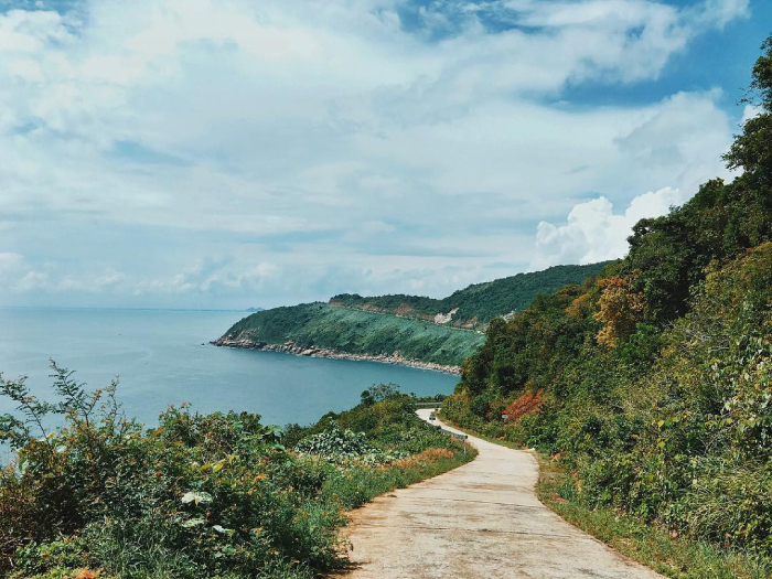 Những con đường ven biển và xuyên rừng hấp dẫn du khách
