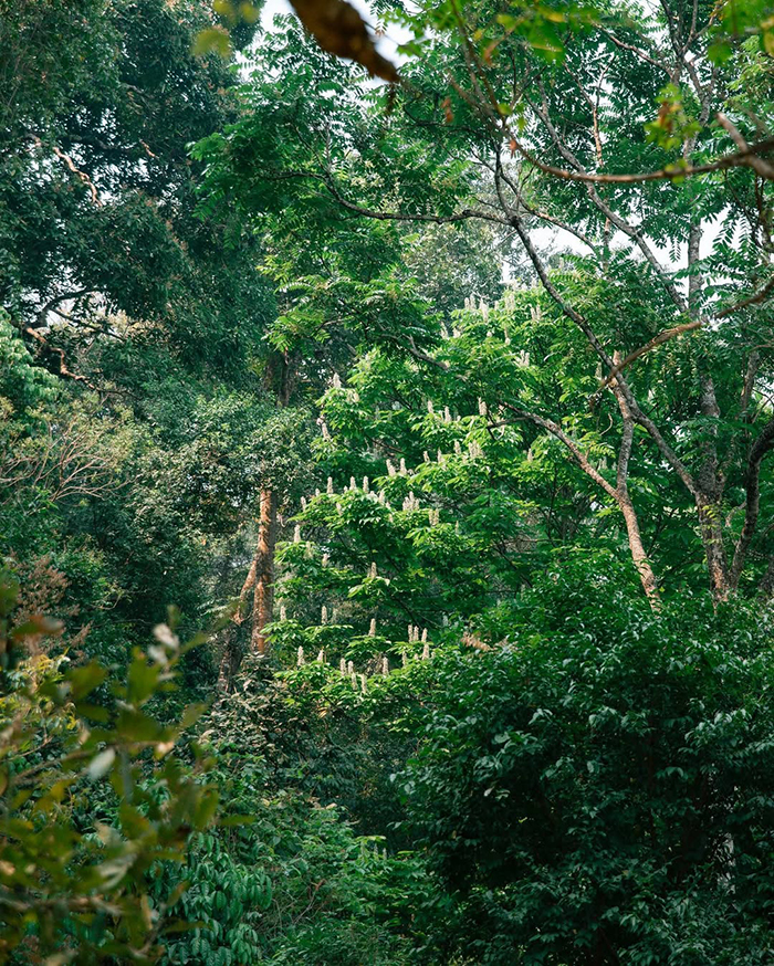 Thưởng thức nhiều ẩm thực đặc sắc khi tới điện biên