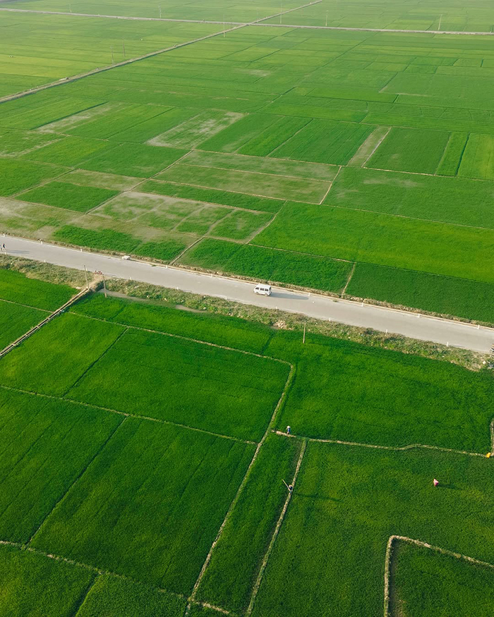 Cẩm nang du lịch Điện Biên mua gì về làm quà?