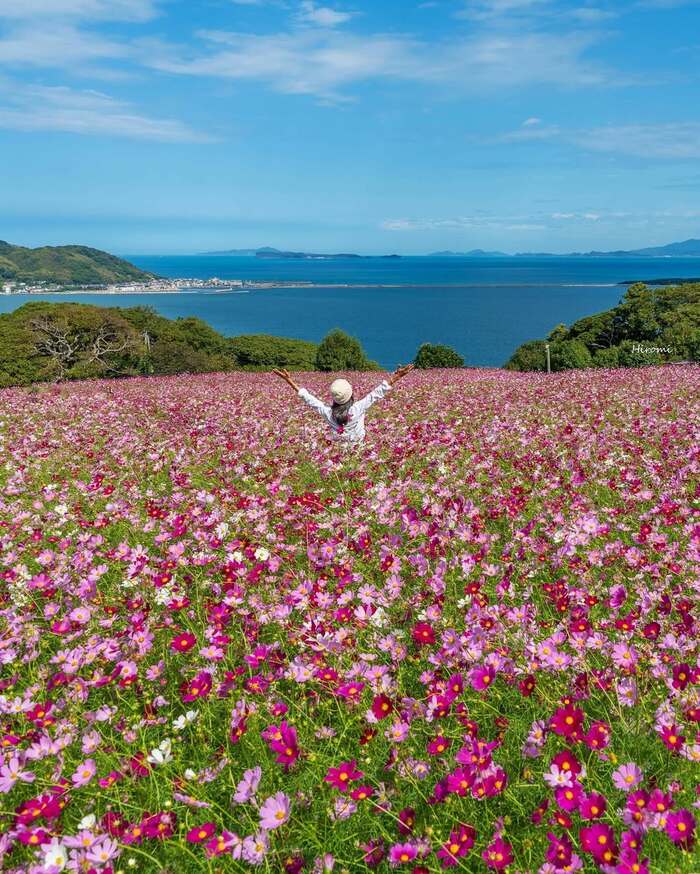 Cẩm nang du lịch Fukuoka - Tham quan các vườn hoa, công viên thơ mộng