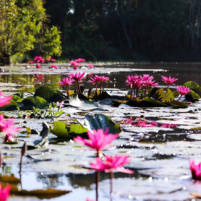 Điểm tham quan nổi bật tại Long An