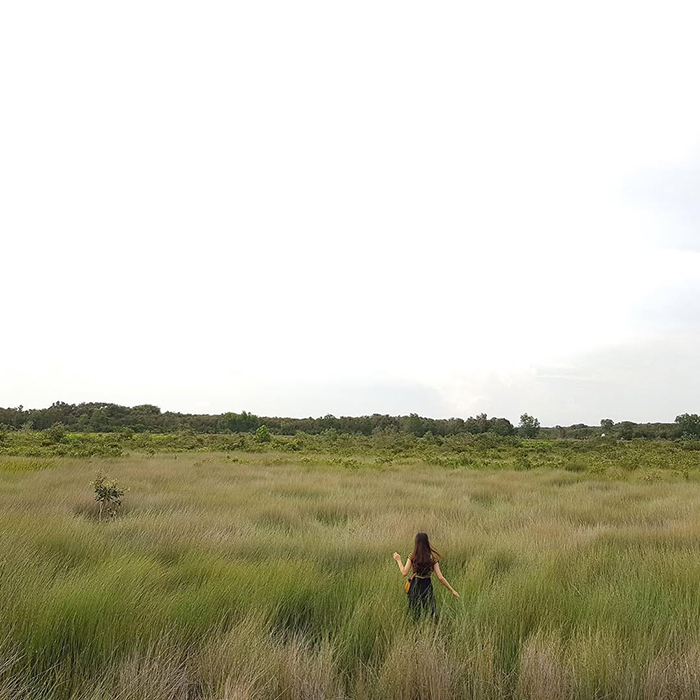 Khu du lịch Cánh đồng bất tận tại cẩm nang du lịch Long An