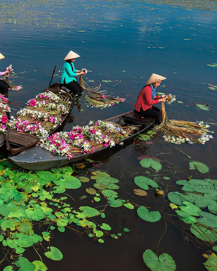 Khám phá cảnh đẹp thiên nhiên tươi đẹp trong cẩm nang du lịch Long An